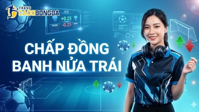 chap-dong-banh-nua-trai